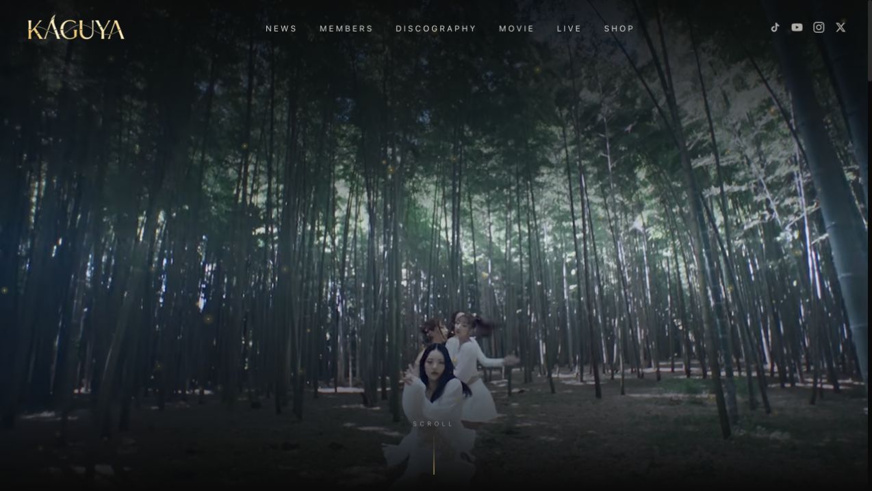 KAGUYA 公開サイトの画面